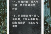 梦到以前的事是怎么回事_经常梦见旧人旧景怎么办