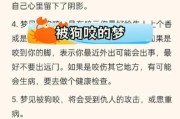 梦到狗是什么意思_梦见狗咬我怎么办