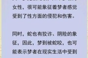 梦到被毒蛇咬了_是什么意思