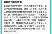 梦到被老鼠咬了是什么意思_周公解梦原版解析
