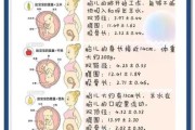 胎儿体重怎么算_孕期体重估算公式