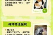 小猫生宝宝要多久_母猫生产前有什么征兆