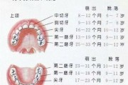 八个月没长牙正常吗_宝宝八个月还没长牙怎么办