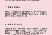 梦到蛇和猫是什么意思_周公解梦蛇猫同现预示什么