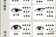 眼型大全名称及图片_如何判断自己属于哪种眼型