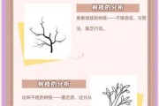 梦到折树枝是什么意思_折树枝梦境解析