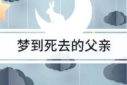 梦见杀爸爸是什么意思_梦到把父亲杀了预示什么