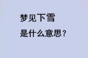 梦到雪人是什么意思_梦到雪人预示什么