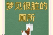 梦到掉粪坑是什么意思_如何化解