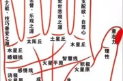 手心图片大全_手心纹路怎么看