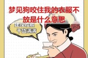 女人梦到狗咬住不放_梦见狗咬不松口是什么意思