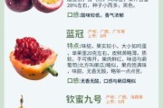 百香果图片大全大图_如何挑选成熟果实
