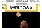 梦到石狮子是什么意思_石狮子梦境解析