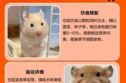 仓鼠宝宝怎么养_仓鼠宝宝吃什么