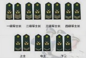军人胸章图片大全_如何识别军衔等级