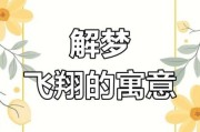 梦到自己会飞_飞起来代表什么