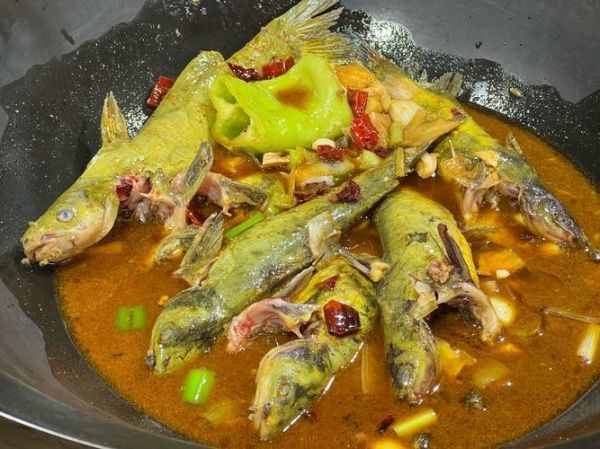 梦到炖鱼是什么意思_梦见炖鱼好不好