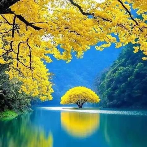 梦到风景是什么意思_如何解梦风景