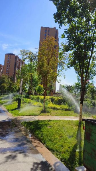 小区图片大全哪里找_小区实景图怎么看