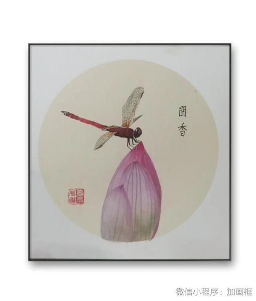 国画蜻蜓图片大全大图_如何临摹工笔画蜻蜓