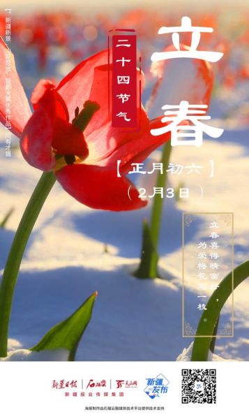 立春图片大全_如何挑选高清节气壁纸