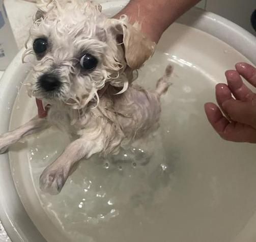 梦到浴池是什么意思_梦见浴池水很脏怎么办