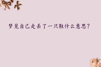 梦到鞋子是什么意思_梦见鞋子丢了代表什么