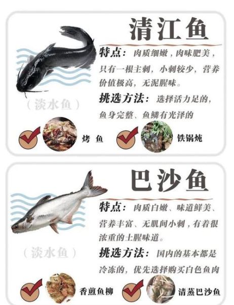 11个月宝宝吃什么鱼好_哪些鱼刺少又营养