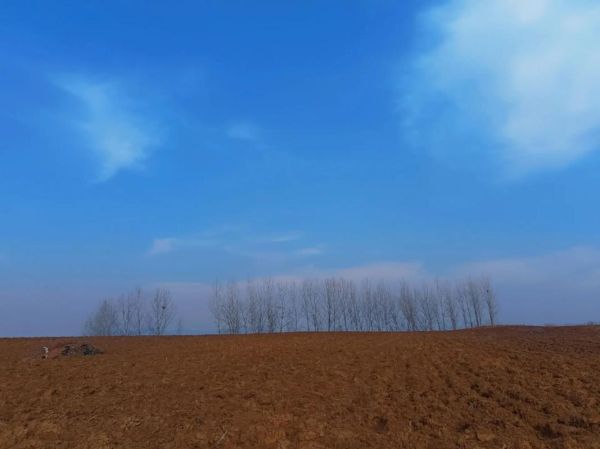 梦到以前的事是怎么回事_经常梦见旧人旧景怎么办