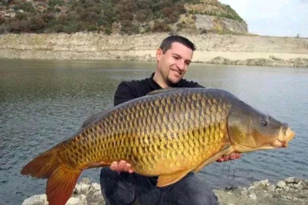 大鲤鱼图片大全_如何挑选高清图