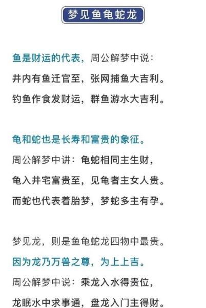 梦到乌龟和鱼是什么意思_周公解梦准吗