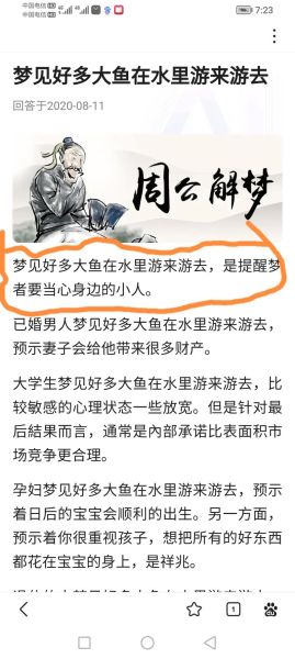 梦到乌龟和鱼是什么意思_周公解梦准吗