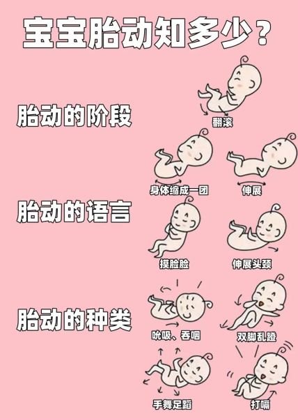 宝宝胎动多正常吗_胎动频繁的原因
