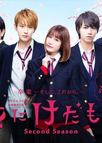 艳母全集迅雷下载_哪里能安全获取