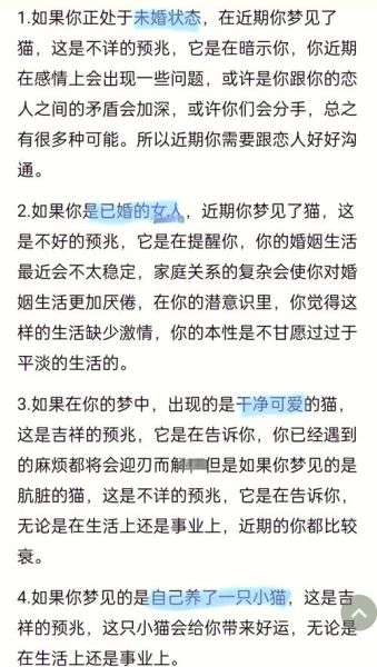 梦到小白猫是什么意思_小白猫梦境解析