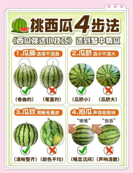 瓜的图片大全_如何快速识别常见瓜类