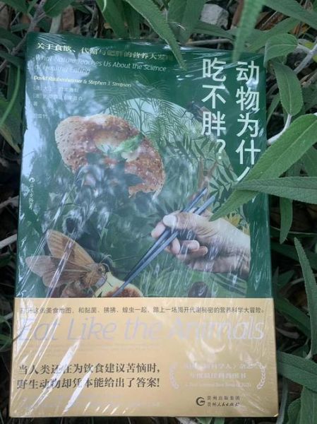 动物性本能_迅雷下载安全吗