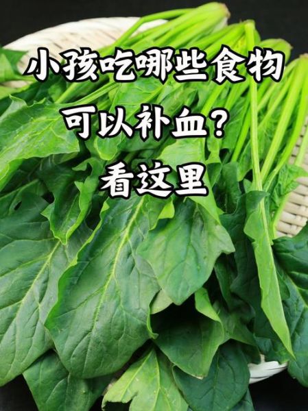 2岁宝宝贫血吃什么补血最快_食补还是药补