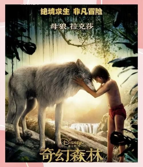 奇幻森林迅雷下载_高清资源去哪找