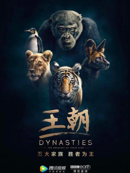 动物世界迅雷下载_哪里能看高清完整版