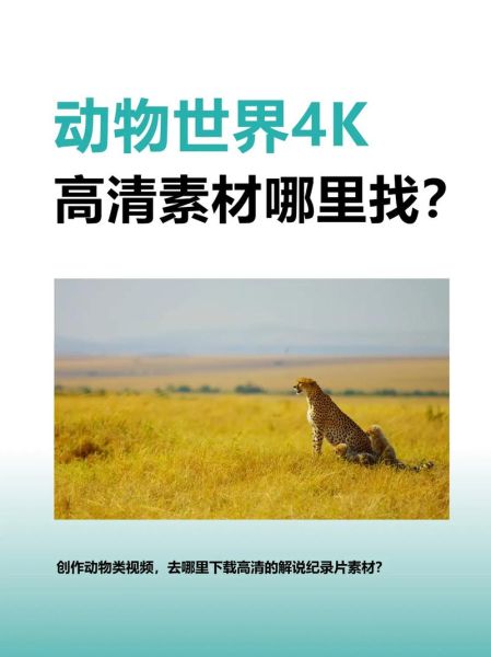 动物世界迅雷下载_哪里能看高清完整版