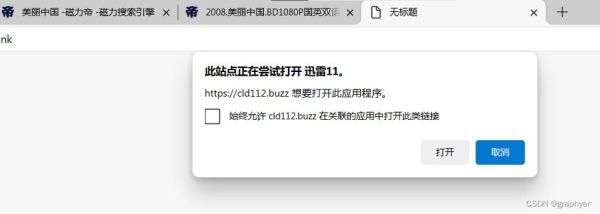 迅雷磁力链怎么用_迅雷磁力链下载安全吗