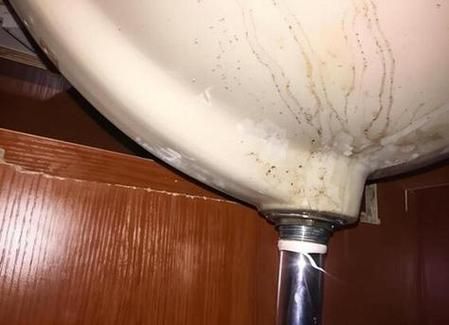 梦到洗菜是什么意思_梦到洗菜好不好