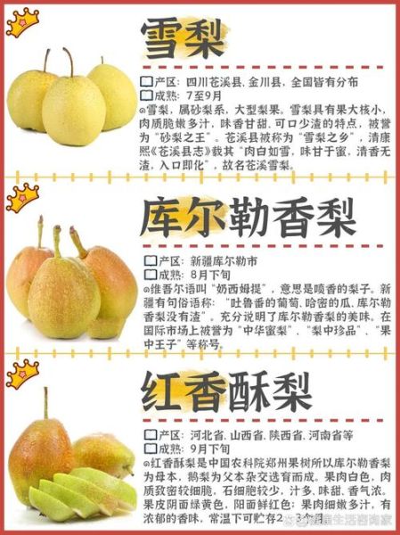 梨子品种图片大全_如何区分常见梨