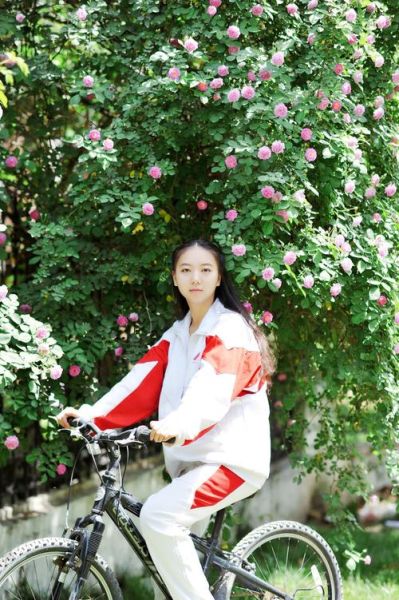 窦宝宝是谁_窦宝宝个人资料