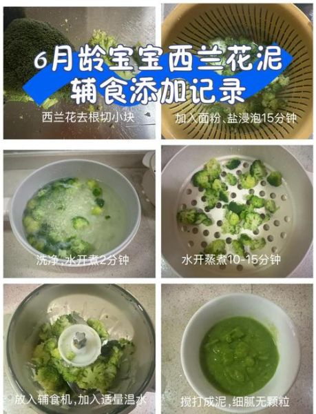 西兰花泥怎么做给宝宝吃_婴儿辅食西兰花做法