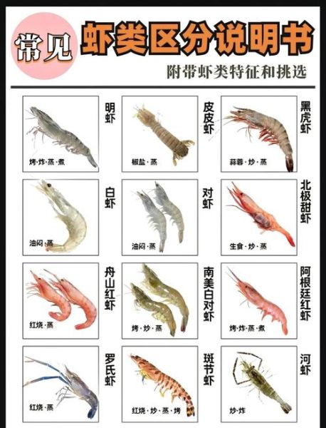 对虾图片大全_对虾品种怎么区分