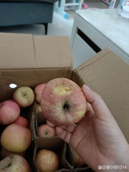 梦到买苹果是什么意思_梦见买苹果好不好