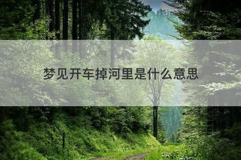 梦到开车回家是什么意思_开车回家梦境解析