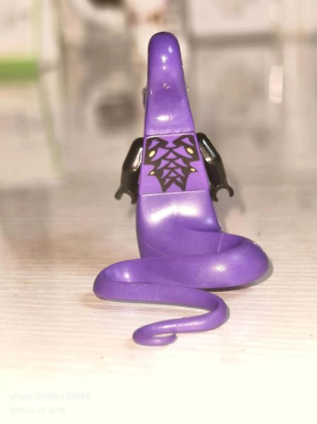 梦到紫色的蛇是什么意思_紫色蛇在梦里代表什么